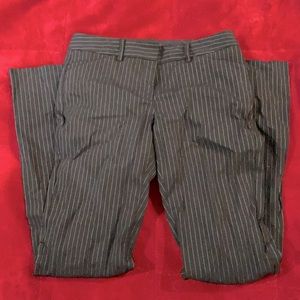 Express suit pants